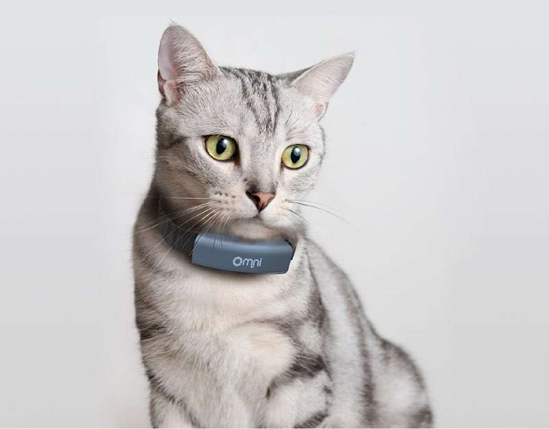 1596447168 1596447168