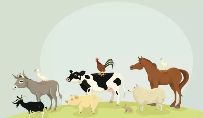 微信截圖_20211221165001 微信截圖_20211221165001