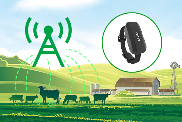 畜牧定位器 畜牧定位器
