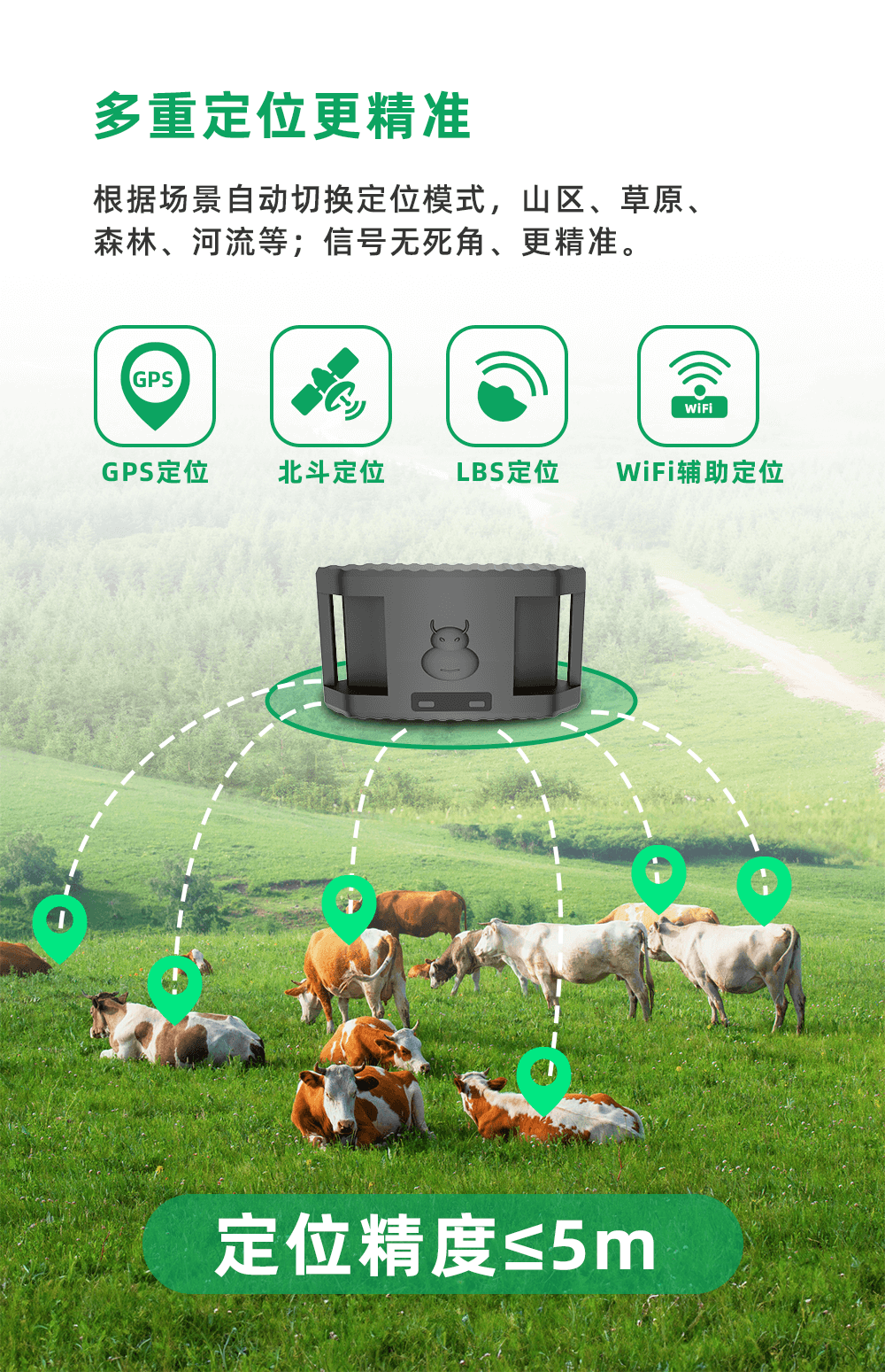 13 牛羊定位器