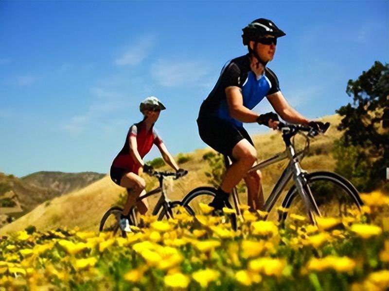 騎行過程中所需要注意的姿勢與好處有哪些？